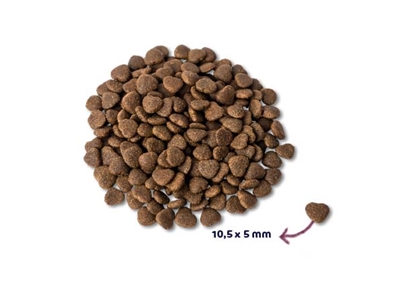 Renske super premium adult verse zalm graanvrij - Afbeelding 2