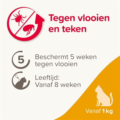 Beaphar fiprotec kat tegen vlooien & teken - Afbeelding 4