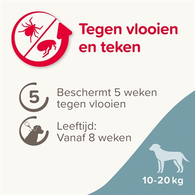 Beaphar fiprotec hond tegen teken en vlooien - Afbeelding 4
