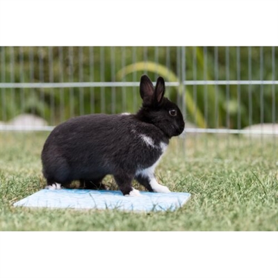 Trixie koelplaat voor kleine dieren blauw - Afbeelding 4