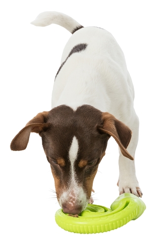 Trixie snack-slang tpr opgerold - Afbeelding 8