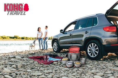 Kong reistas 5-delig - Afbeelding 2