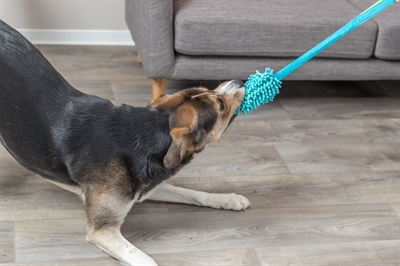 Trixie bungee dummy polyester petrol - Afbeelding 3