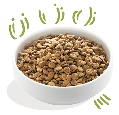 Edgard & cooper adult verse graslam graanvrij - Afbeelding 2