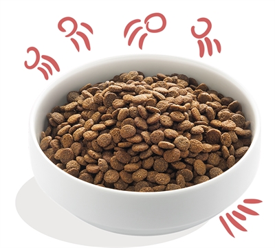 Edgard & cooper senior verse scharrelkip / noorse zalm graanvrij - Afbeelding 2