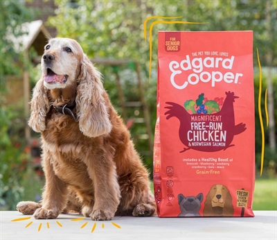 Edgard & cooper senior verse scharrelkip / noorse zalm graanvrij - Afbeelding 3