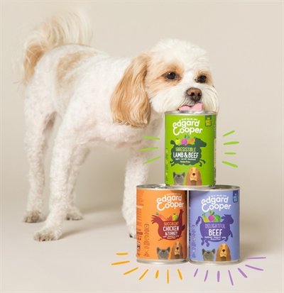 Edgard & cooper rund blik graanvrij - Afbeelding 3