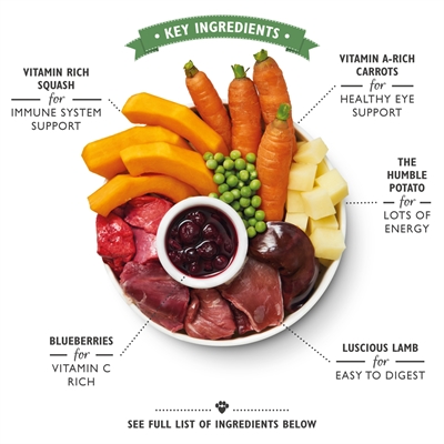 Lily's kitchen dog lamb hotpot - Afbeelding 3