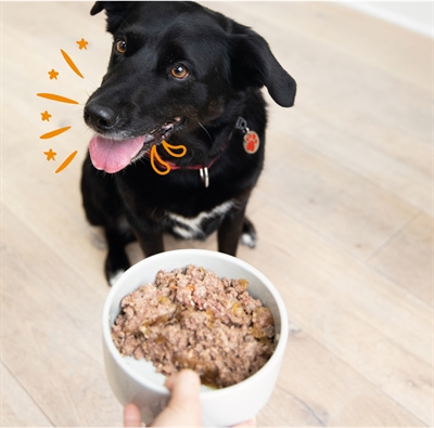 Edgard & cooper multipack hond adult kip / lam graanvrij - Afbeelding 2