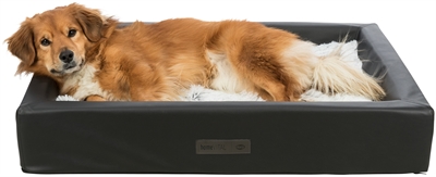 Trixie ligmat harvey wit / grijs - Afbeelding 9