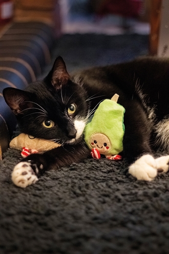 Rosewood avocado / croissant speelset - Afbeelding 5