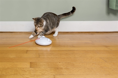 Petsafe zip - Afbeelding 5