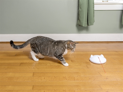 Petsafe zip - Afbeelding 6