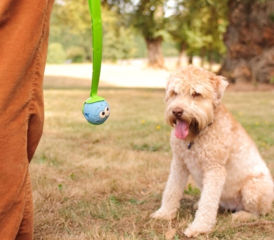 Chuckit the whistler - Afbeelding 3