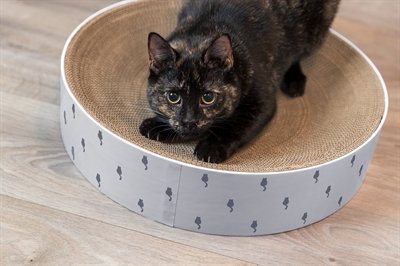 Trixie krabmand lilly karton catnip lichtgrijs - Afbeelding 7