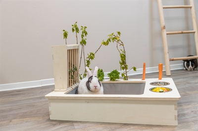 Trixie voederstation met voerbak / waterbak / hooiruif hout naturel - Afbeelding 3