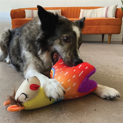 Kong ballistic vibez lama assorti - Afbeelding 4