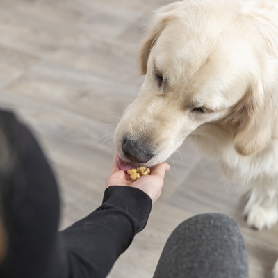 Trixie bakmat met botjes voor hond silicone - Afbeelding 8