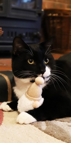 Cupid & comet pom pom gonk kerstman - Afbeelding 2