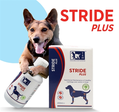 Trm stride plus - Afbeelding 4