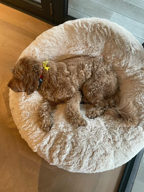 Bessie and barnie hondenmand bagel bed blondie - Afbeelding 5