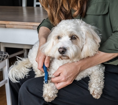 Mikki doodle de-matter - Afbeelding 5