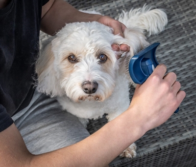 Mikki doodle grooming kit met kam en slickerborstel - Afbeelding 6