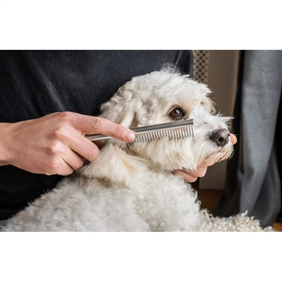 Mikki doodle grooming kit met kam en slickerborstel - Afbeelding 9