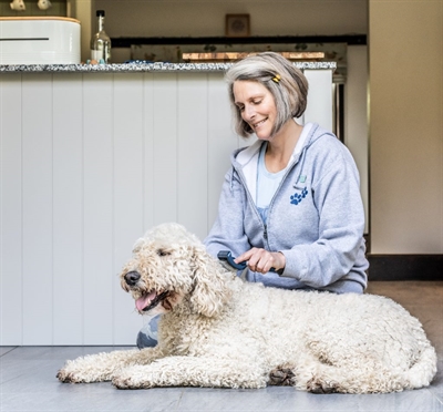 Mikki doodle grooming kit met kam en slickerborstel - Afbeelding 11