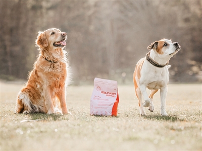 Buddy wild caught salmon - Afbeelding 3
