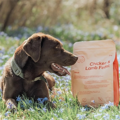 Buddy chicken / lamb feast - Afbeelding 2