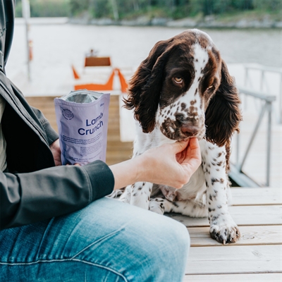 Buddy crunchy snack lamb with cranberries - Afbeelding 3