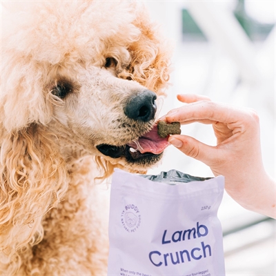 Buddy crunchy snack lamb with cranberries - Afbeelding 4