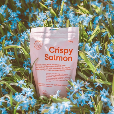 Buddy crunchy snack salmon with blueberries - Afbeelding 2