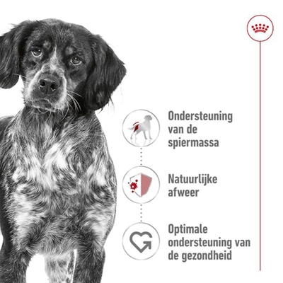 Royal canin medium adult - Afbeelding 3