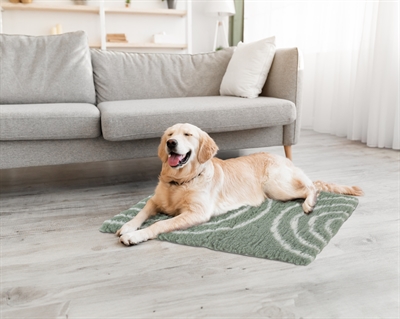 Zolux hondendeken vetbed boog groen - Afbeelding 3