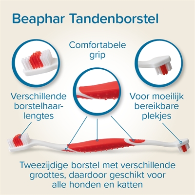 Beaphar tandpasta en borstel combi-pack - Afbeelding 4