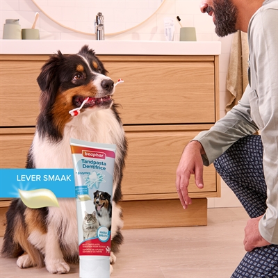 Beaphar tandpasta en borstel combi-pack - Afbeelding 8