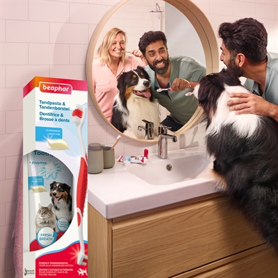 Beaphar tandpasta en borstel combi-pack - Afbeelding 11