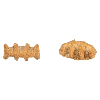 Trixie fish bones met kippenborst en zalm - Afbeelding 4