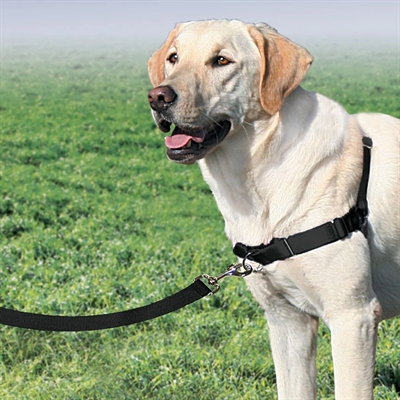 Petsafe easy walk anti-trek tuig zwart - Afbeelding 3