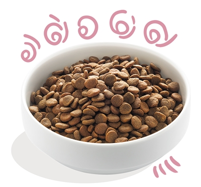 Edgard & cooper puppy verse scharreleend / kip graanvrij - Afbeelding 2