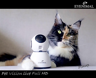 Eyenimal pet vision live hd camera met geluidsdetectie - Afbeelding 4