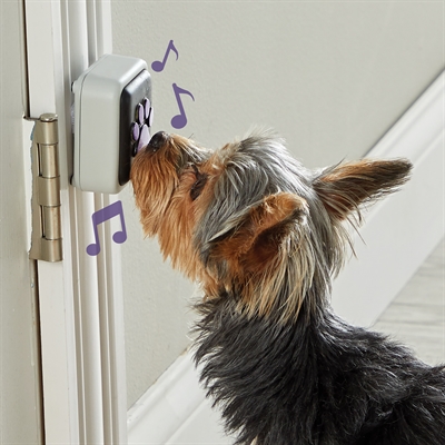 Hunger for words talking pet doorbell - Afbeelding 3