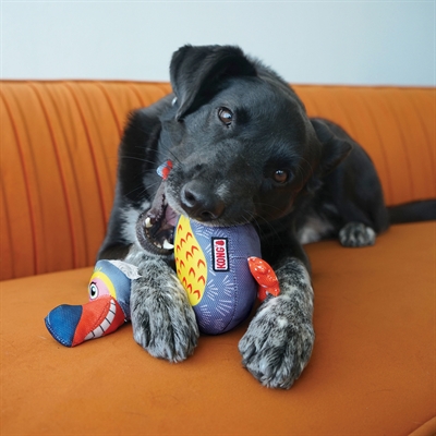 Kong ballistic vibez vogel assorti - Afbeelding 4