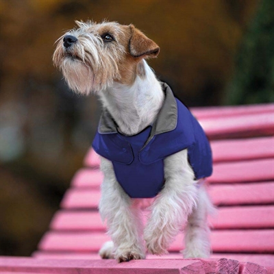 Croci hondenjas eco glam gerecycled blauw - Afbeelding 5