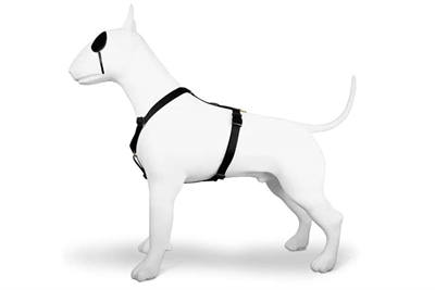 Morso hondentuig h-tuig gerecycled gold caviar goud - Afbeelding 2