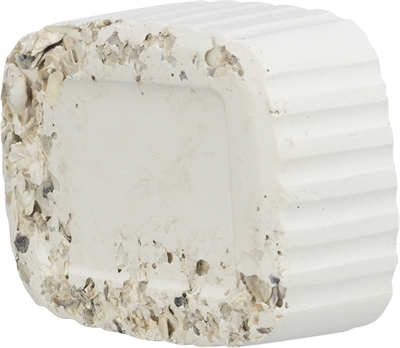 Trixie piksteen met schelpen mineralen en mosselen - Afbeelding 2