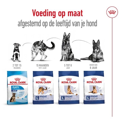 Royal canin maxi adult - Afbeelding 5