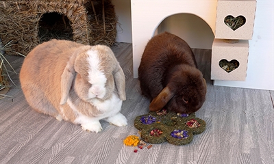 Rosewood naturals flower 'n' forage blossom - Afbeelding 2